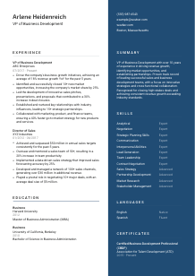 VP of Business Development CV Template #2