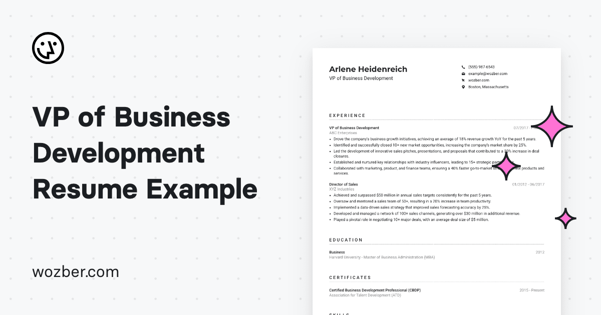VP of Business Development Resume Example