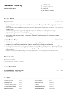 Business Manager Resume Example