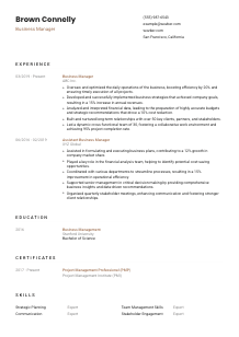 Business Manager CV Template #1