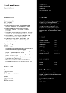 Business Owner Resume Template #3