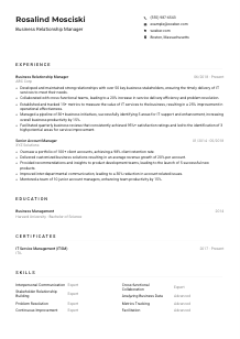 Business Relationship Manager CV Example
