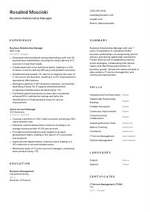 Business Relationship Manager CV Template #1