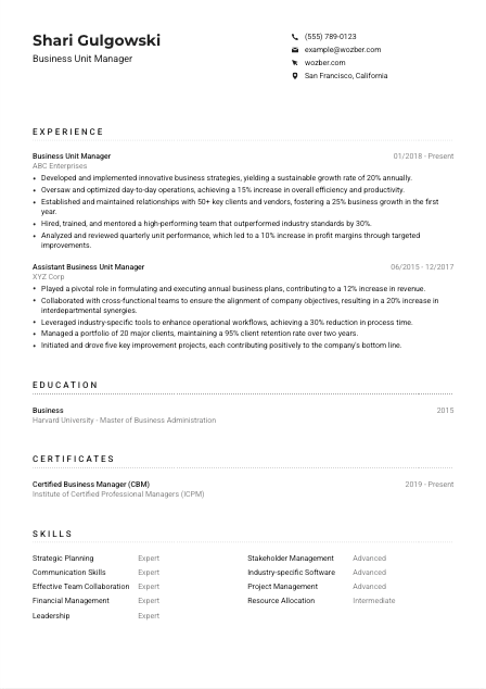 Business Unit Manager Resume Example