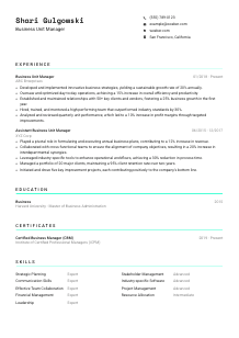 Business Unit Manager CV Template #3