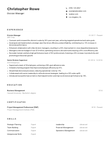 Division Manager CV Example