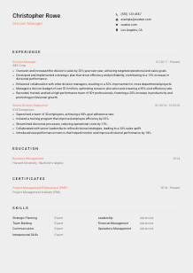Division Manager Resume Template #3