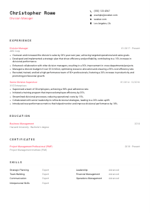 Division Manager Resume Template #1