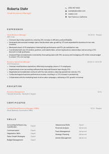 Small Business Manager CV Template #3