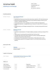 Marketing Account Manager CV Template #8