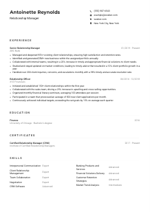 Relationship Manager CV Example