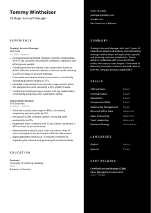 Strategic Account Manager CV Template #3