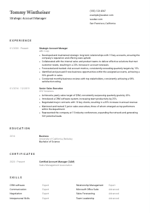 Strategic Account Manager CV Template #1