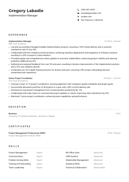 Implementation Manager Resume Example