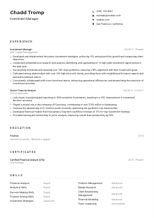 Investment Manager CV Example
