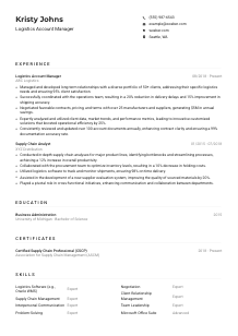 Logistics Account Manager Resume Example