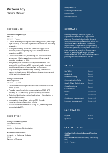 Planning Manager CV Template #2