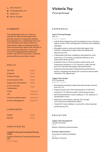 Planning Manager CV Template #3