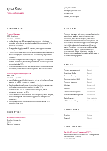 Process Manager Resume Template #2