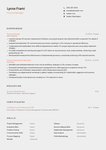 Process Manager Resume Template #3