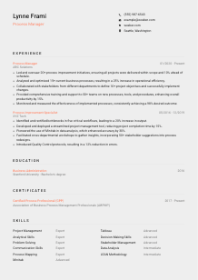 Process Manager CV Template #3