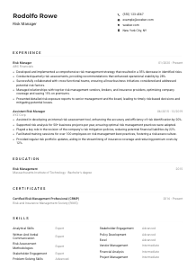 Risk Manager CV Example