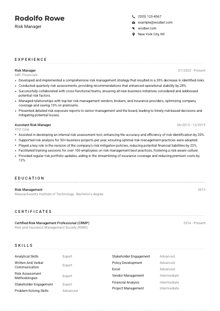 Risk Manager Resume Example