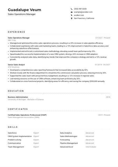 Sales Operations Manager CV Example