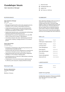 Sales Operations Manager Resume Template #10