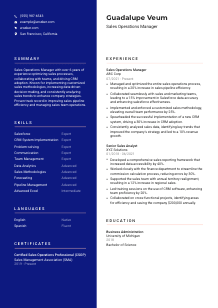 Sales Operations Manager CV Template #21