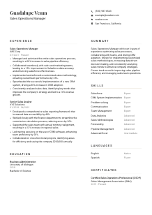 Sales Operations Manager Resume Template #7