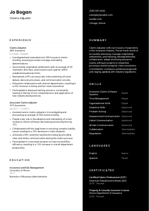 Claims Adjuster CV Template #17