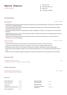 Safety Manager CV Template #4