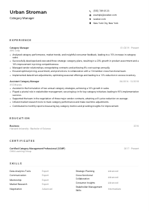 Category Manager CV Example