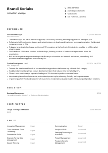Innovation Manager Resume Example