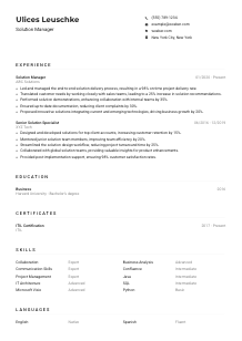 Solution Manager CV Example