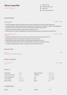 Solution Manager Resume Template #3