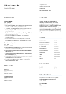 Solution Manager Resume Template #1