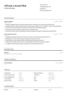 Solution Manager Resume Template #2