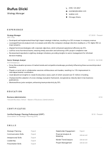 Strategy Manager CV Example