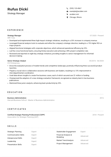 Strategy Manager Resume Example