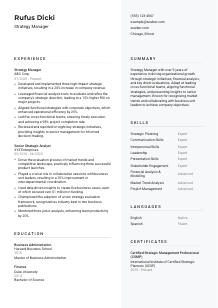 Strategy Manager Resume Template #2