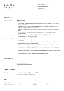 Strategy Manager Resume Template #1