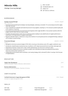 Strategic Sourcing Manager Resume Example