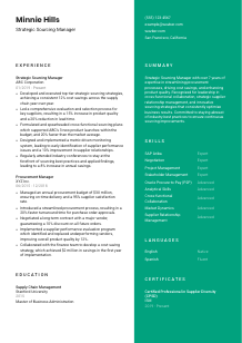 Strategic Sourcing Manager CV Template #16
