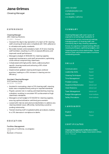Cleaning Manager CV Template #2
