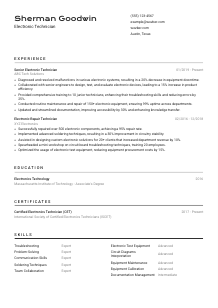 Electronic Technician CV Template #2