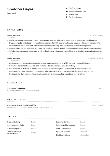 Mechanic CV Example