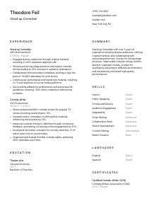 Stand-up Comedian CV Template #1