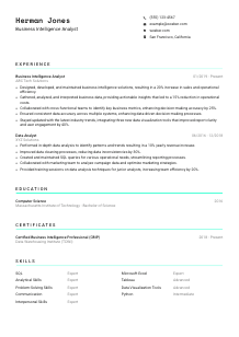 Business Intelligence Analyst CV Template #3